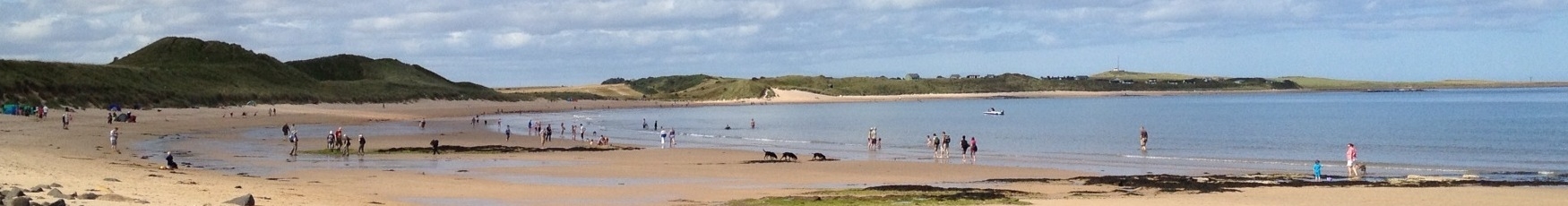 Newton Bay