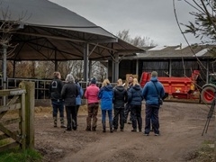 Farm Tour
