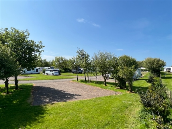 Site