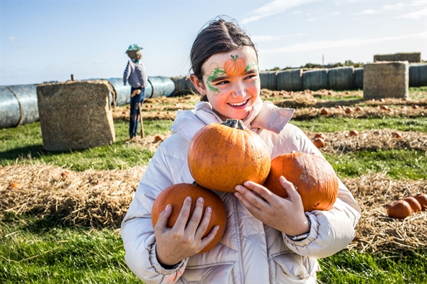 Springhill Pumpkin Festival