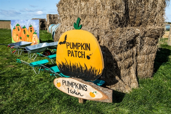 Springhill Pumpkin Festival