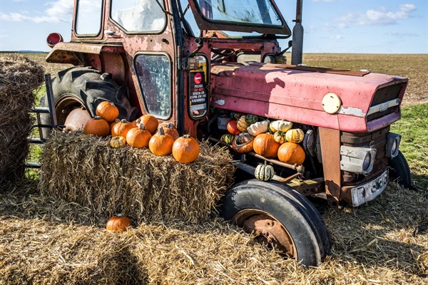 Springhill Pumpkin Festival