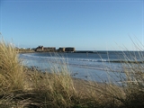 beadnell